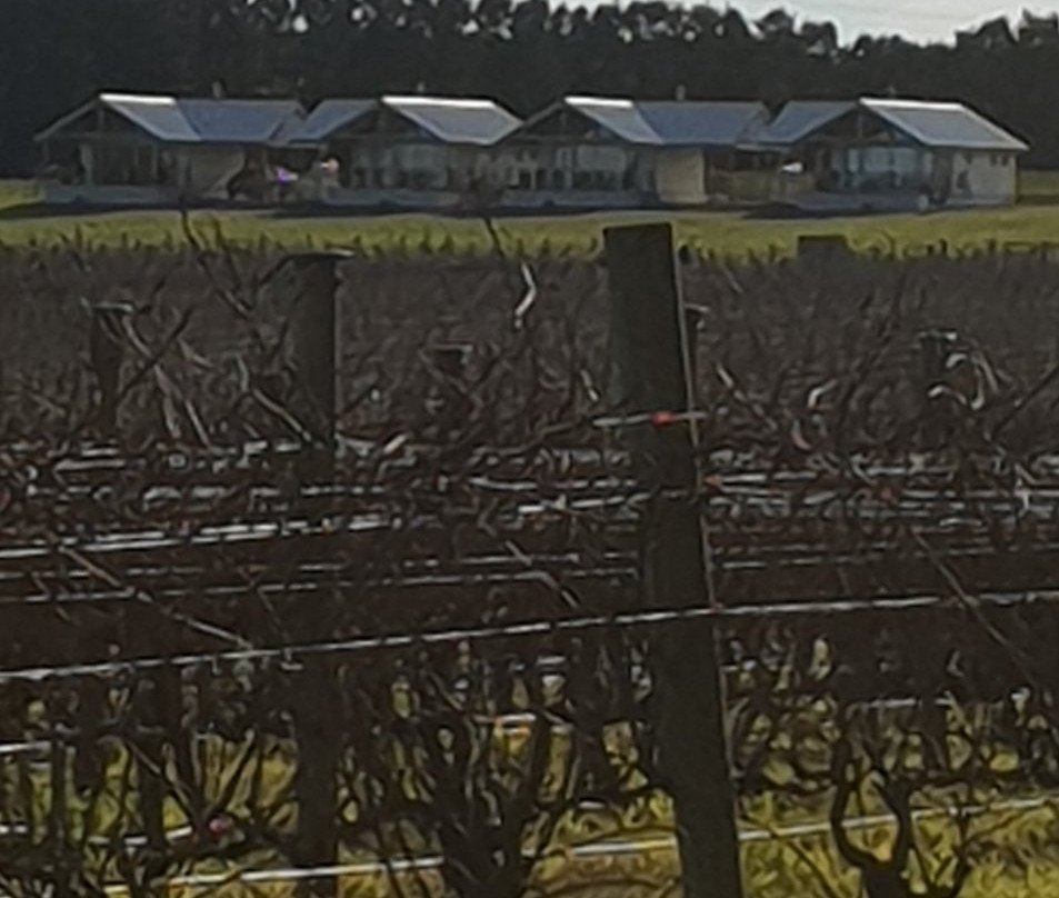 McGlashan's Wallington Estate-Wallington必去景点