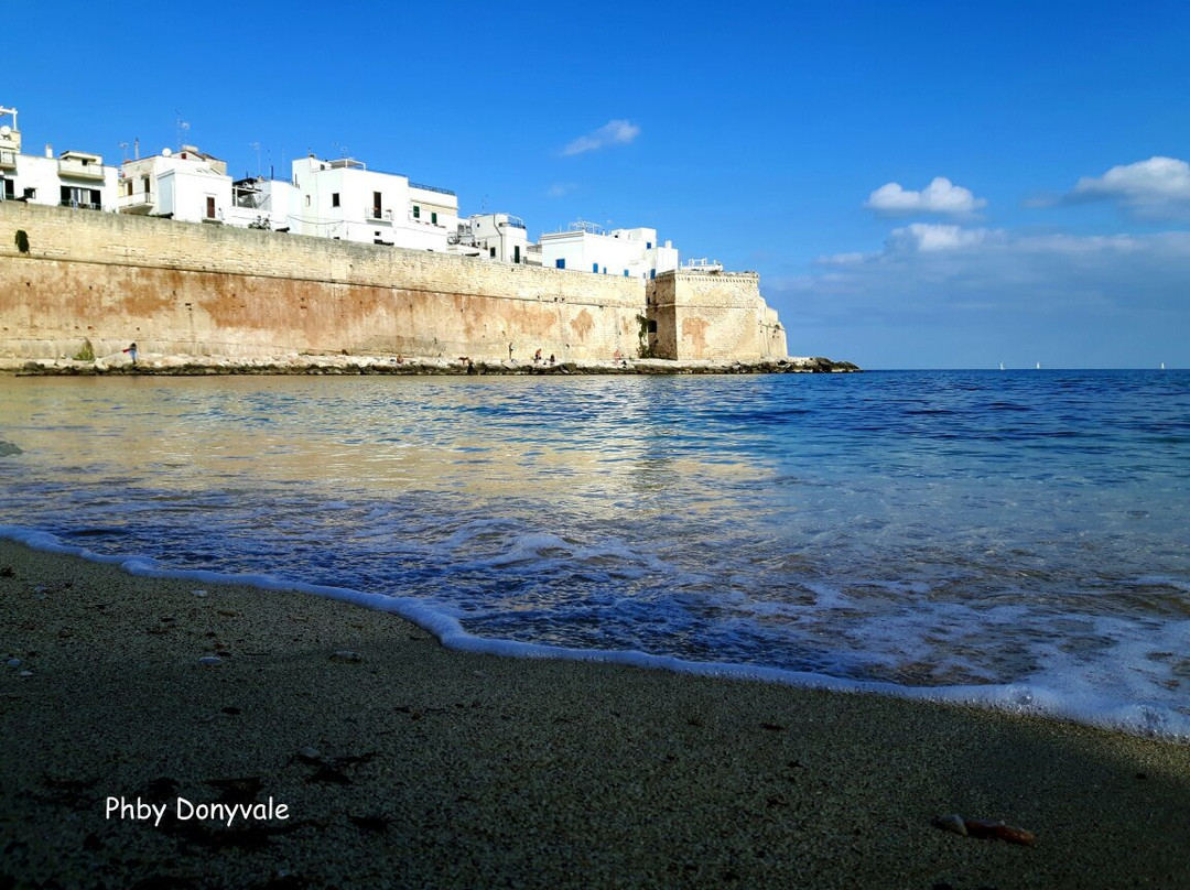 Cala Porta Vecchia景点图片