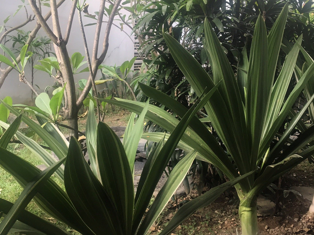 Amaris Hotel Samarinda主图