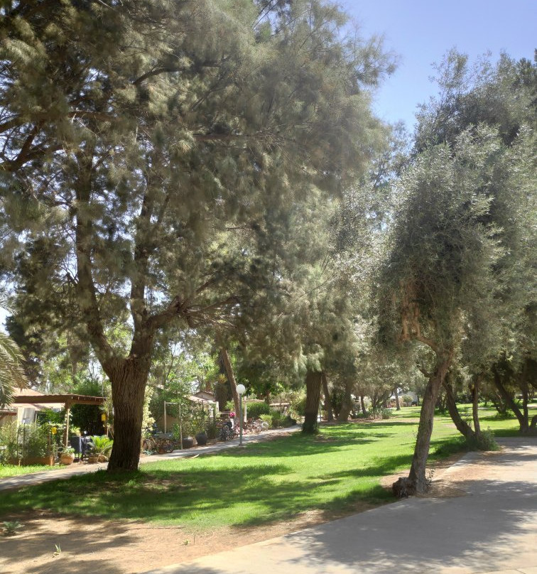 HaMasgeria - Pub Kibbutz Hazerim-贝尔谢巴必去景点