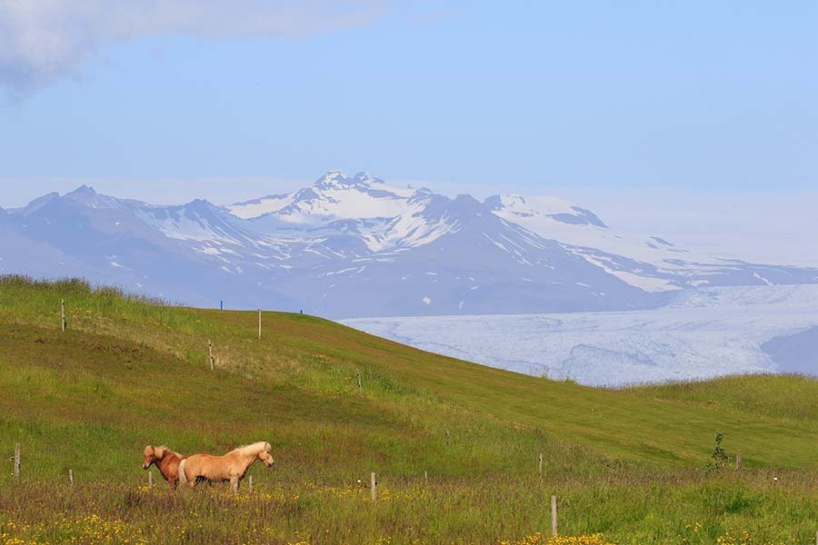 牛奶工厂住宿加早餐旅馆主图