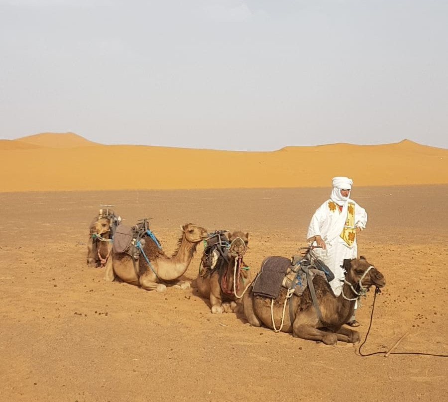 Viajeros Por Marruecos景点图片