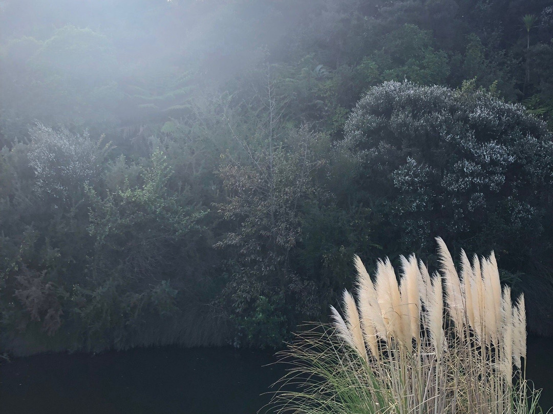 Gulf Harbour Marina-旺阿帕劳阿必去景点