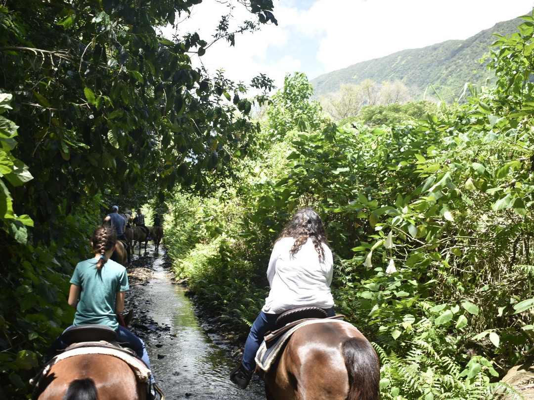 Waipi'o on Horseback景点图片