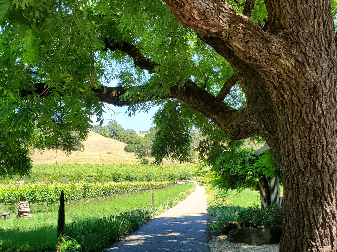 Garden Creek Ranch Vineyards Winery景点图片