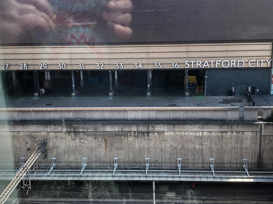 The Stratford Hotel主图