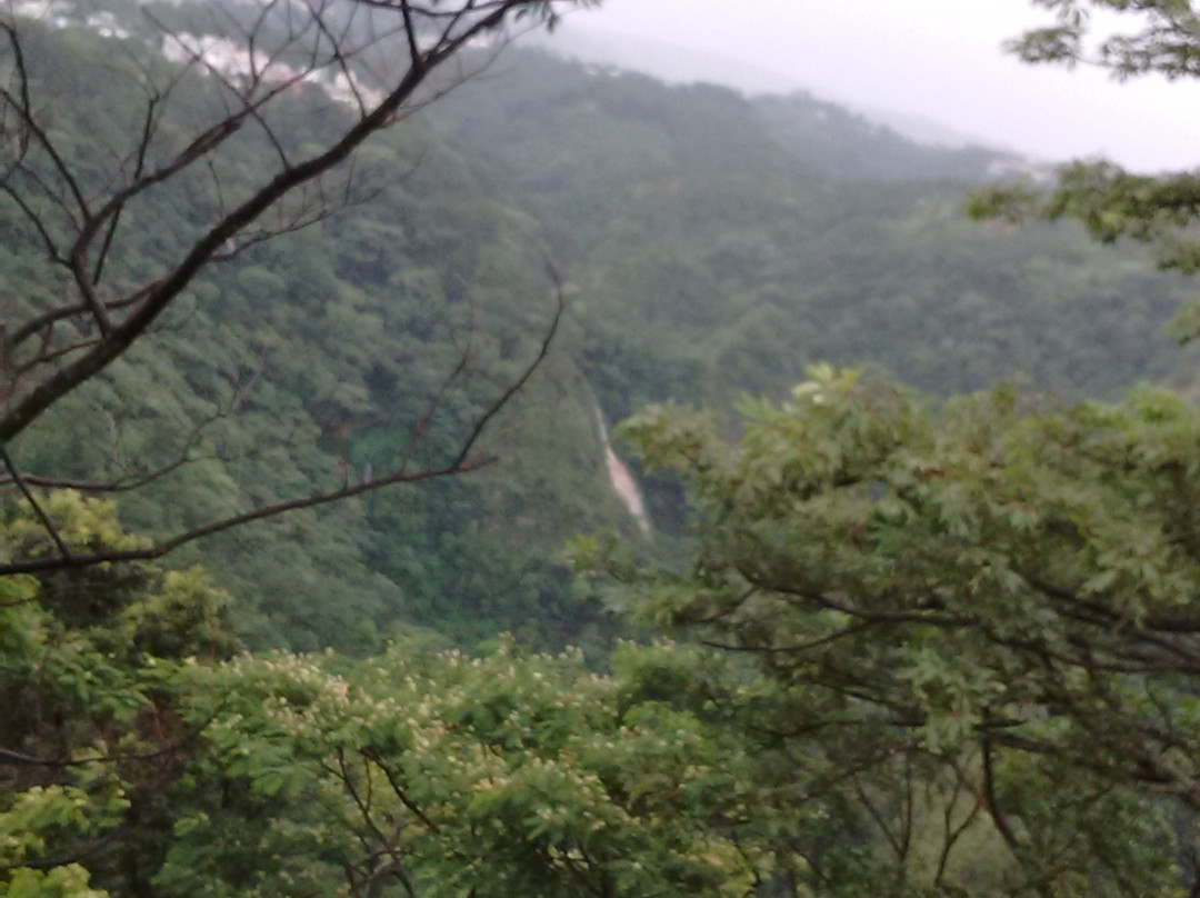 Bishop Falls景点图片