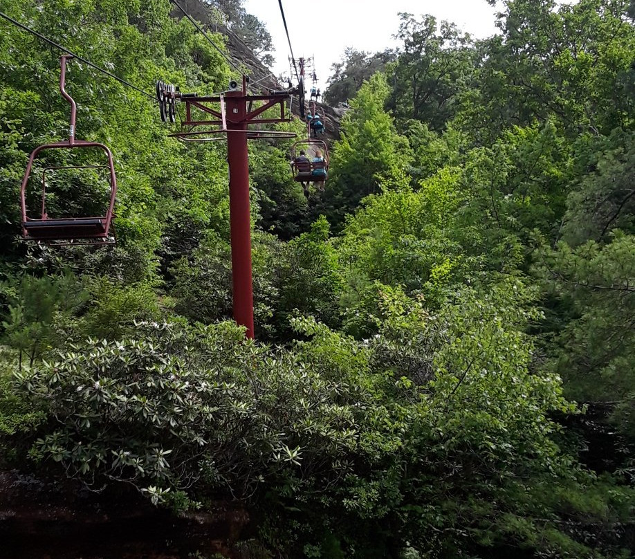 Natural Bridge Sky Lift Gift Shop景点图片