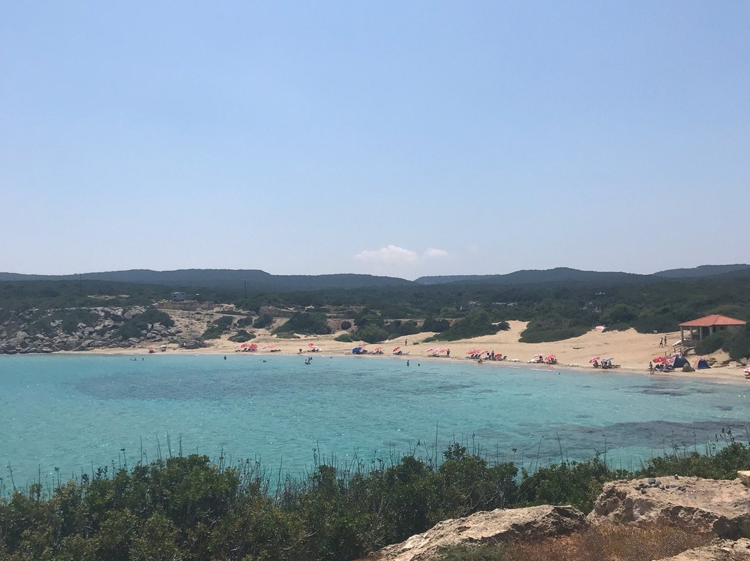 Sea Bird Motel主图