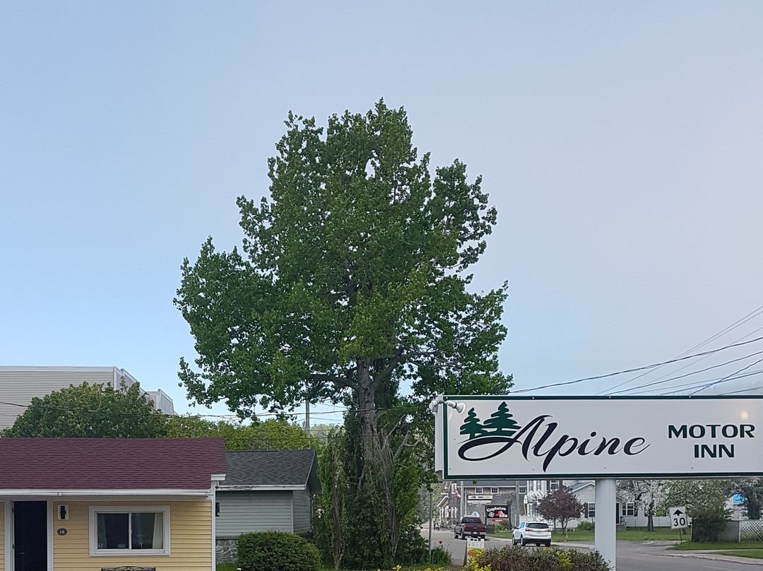 Alpine Motor Inn主图