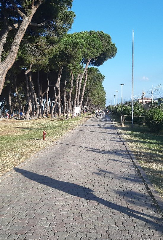 Pista Ciclabile-Pineto必去景点