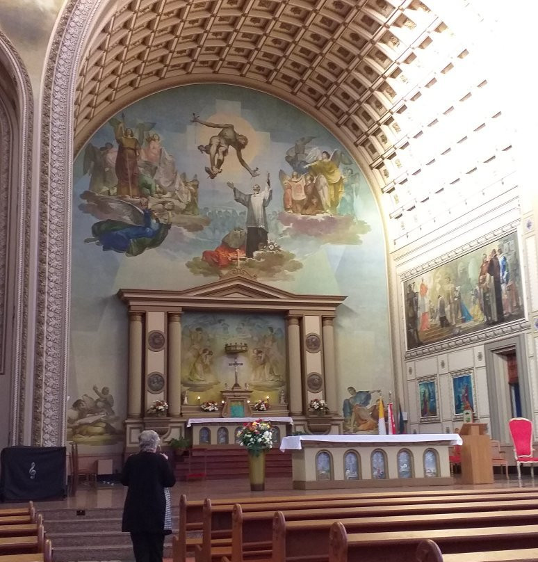 Catedral Basilica Sao Luis Gonzaga景点图片