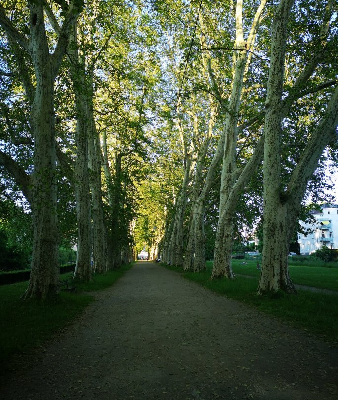 图宾根斯塔迪特酒店主图