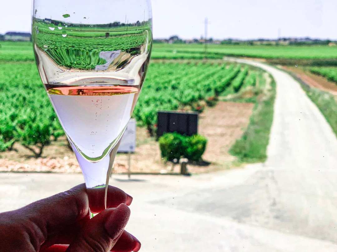 Nadal Wines景点图片