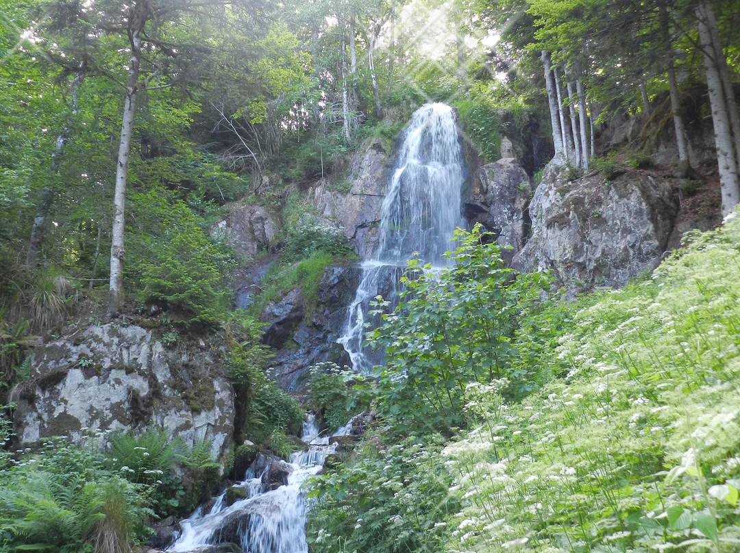 Cascade du Hohwald景点图片