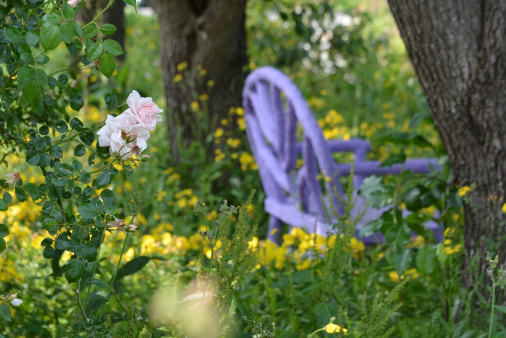 Hidden Valley Motel主图