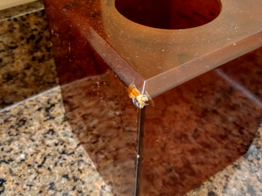 欧弗兰帕克万豪酒店主图