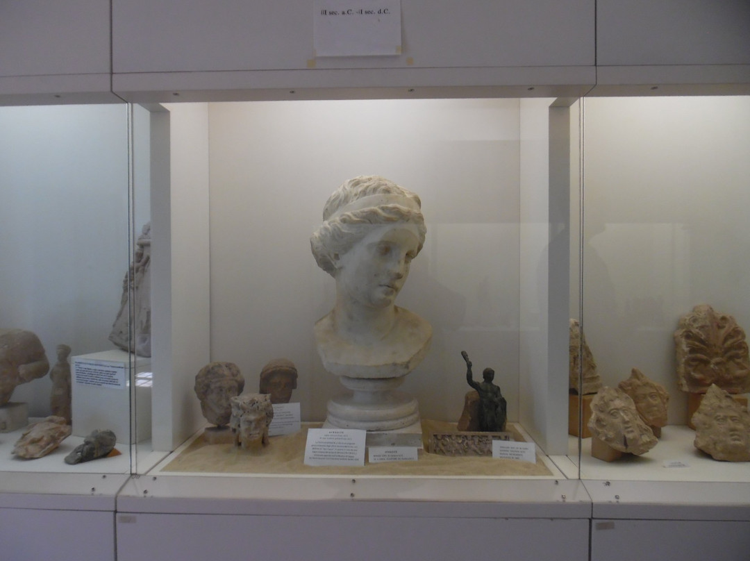 Museo Civico Archeologico "Cesare Cellini"-里帕特兰索内必去景点