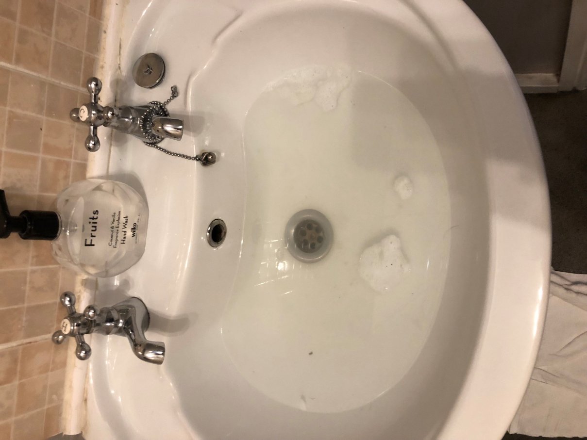 Springfield Guest House-浴室