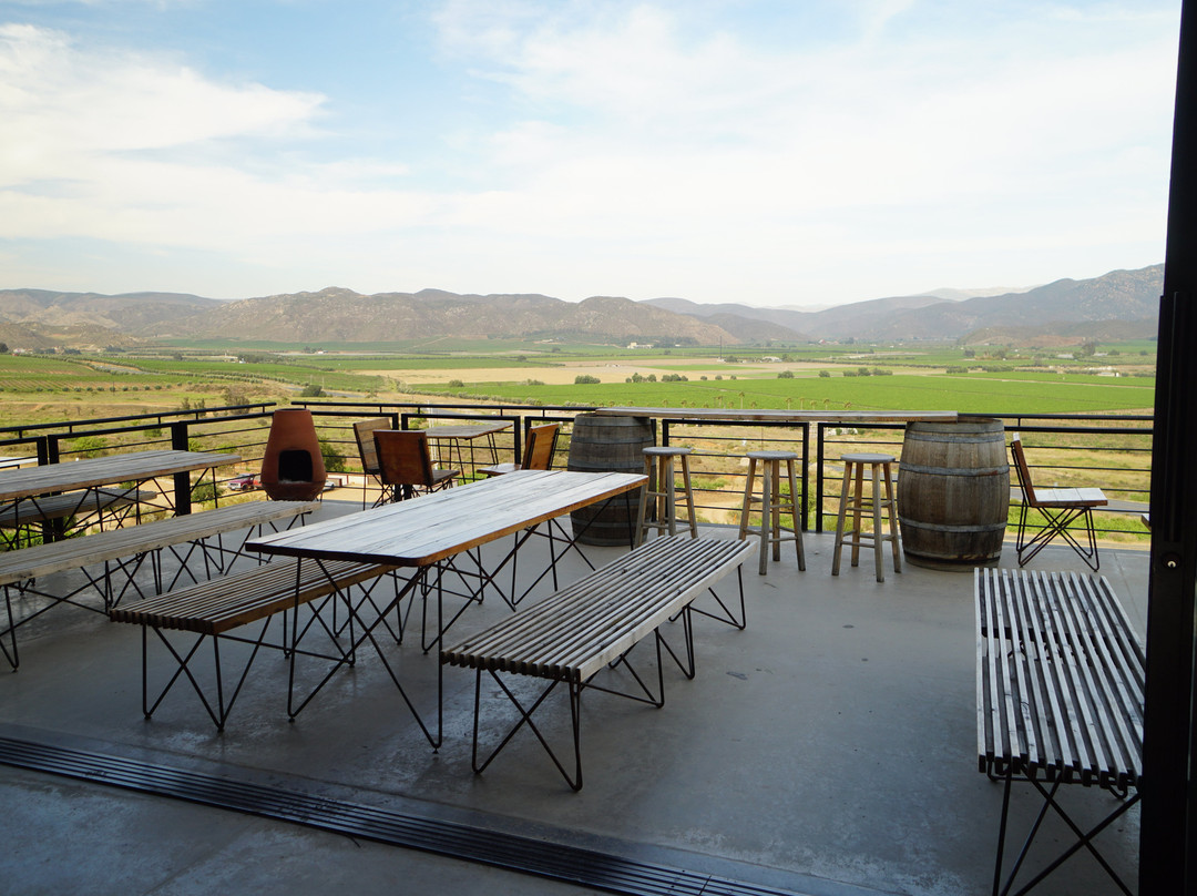 Encuentro Guadalupe主图