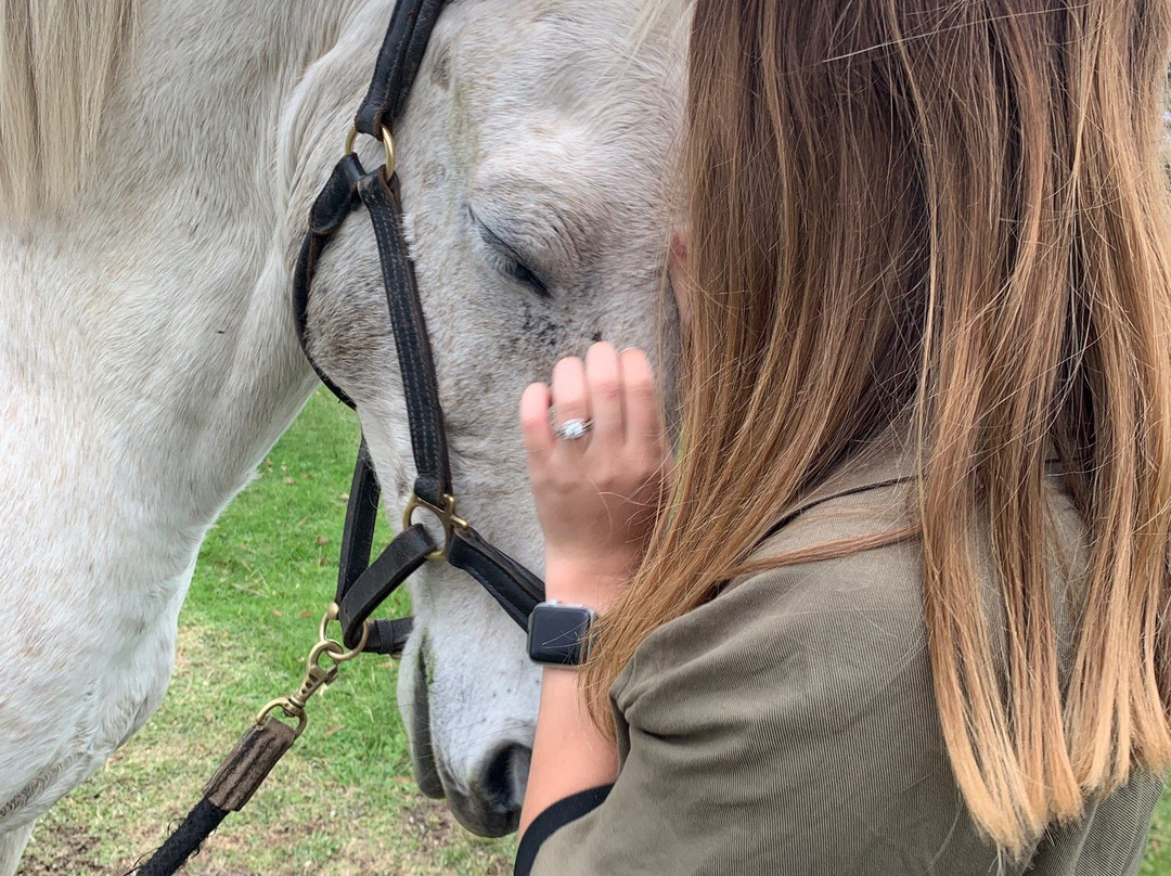 Perdepoort Horse Tails-荒野必去景点