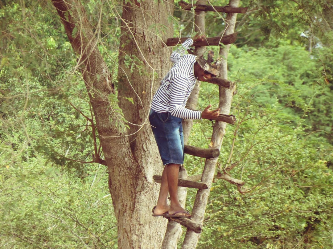 Dimbulagala Monastery-波隆纳鲁瓦必去景点