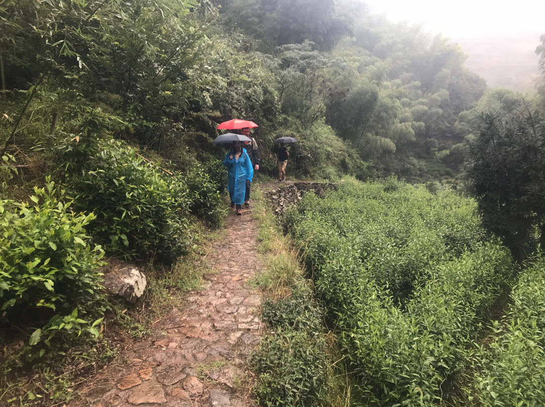 东白山景点图片
