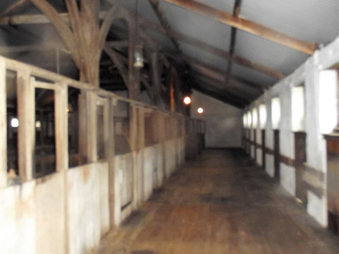 Glencoe Woolshed-Glencoe必去景点