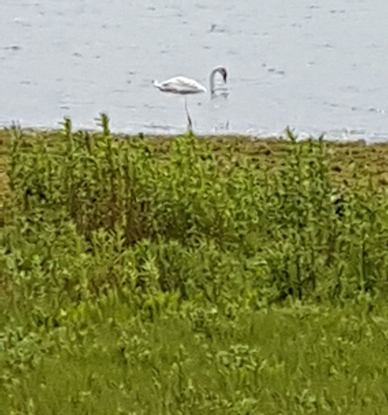 Aberton Reservior景点图片