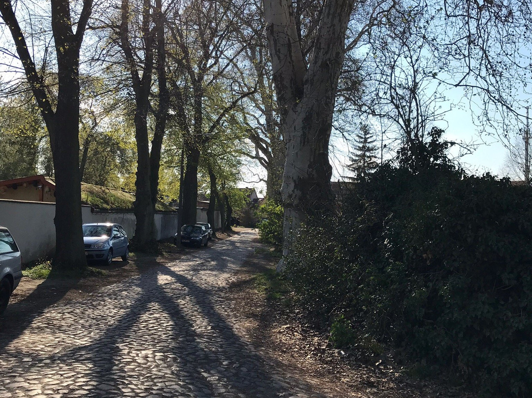 Schloss Plaue GmbH主图