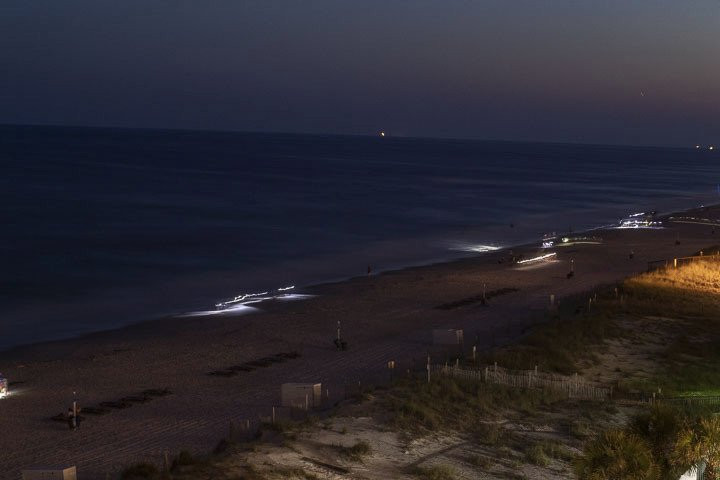 Gulf Shores Public Beach景点图片