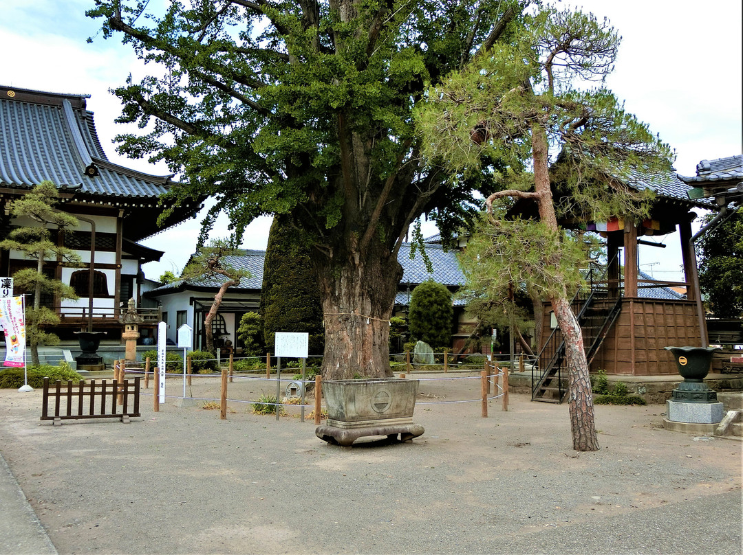 Ryuko-ji Temple景点图片