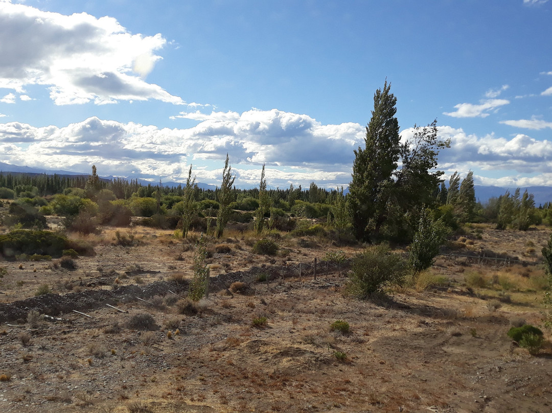 Hotel Posada Del Río主图