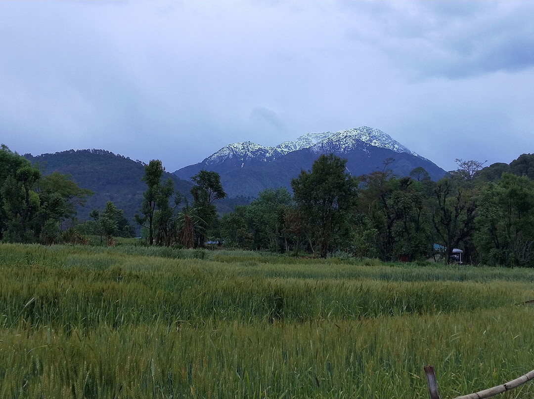 Chimbalhar Heights主图