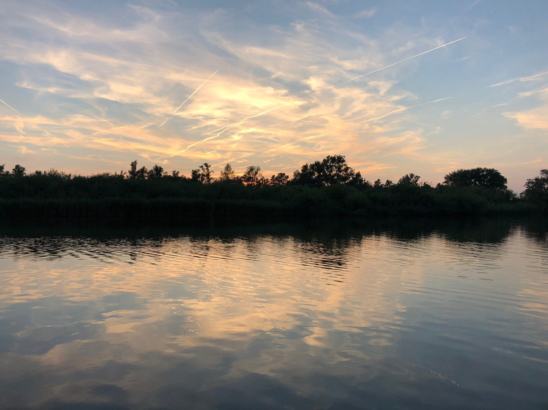 Biesbosch Safari-Hank必去景点