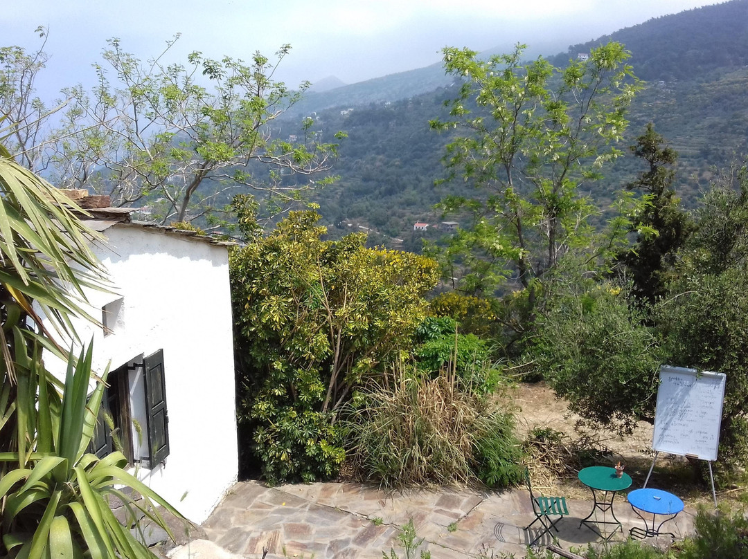 Ikarian Center-Evdilos必去景点