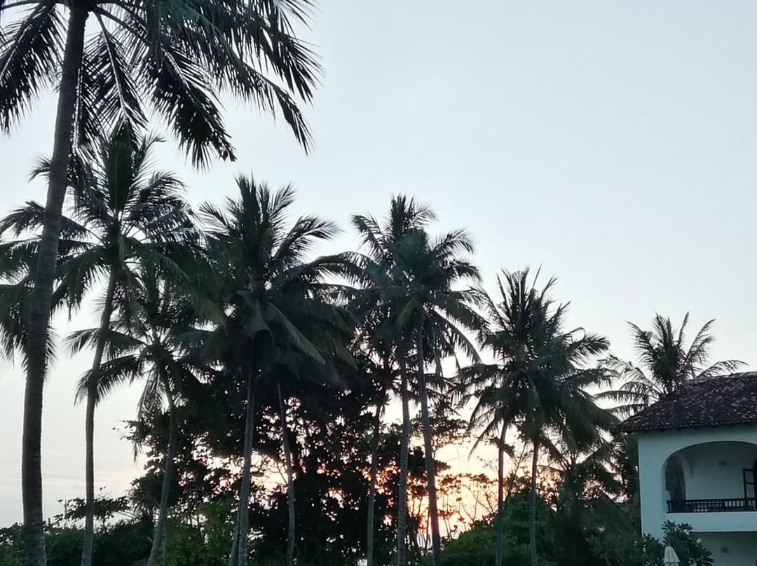 Heritance Ayurveda主图