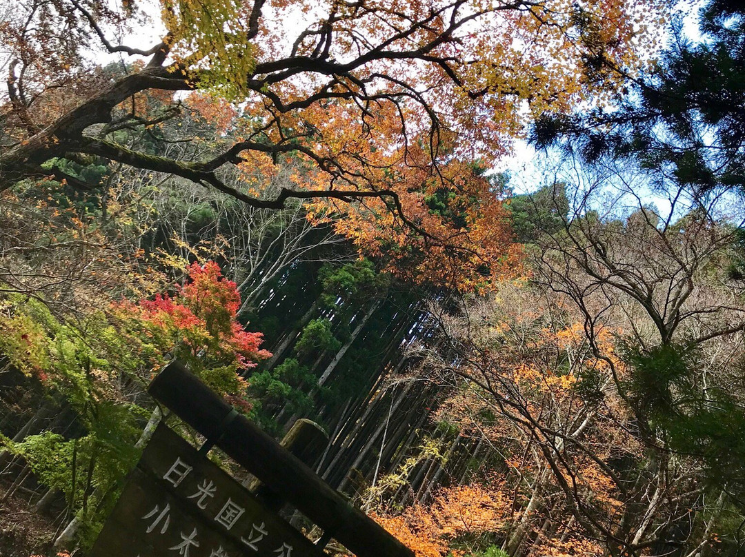 Kotarogafuchi-那须盐原市必去景点
