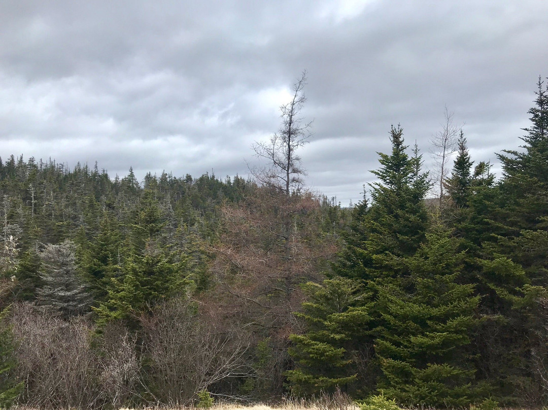 La Manche Provincial Park-Tors Cove必去景点