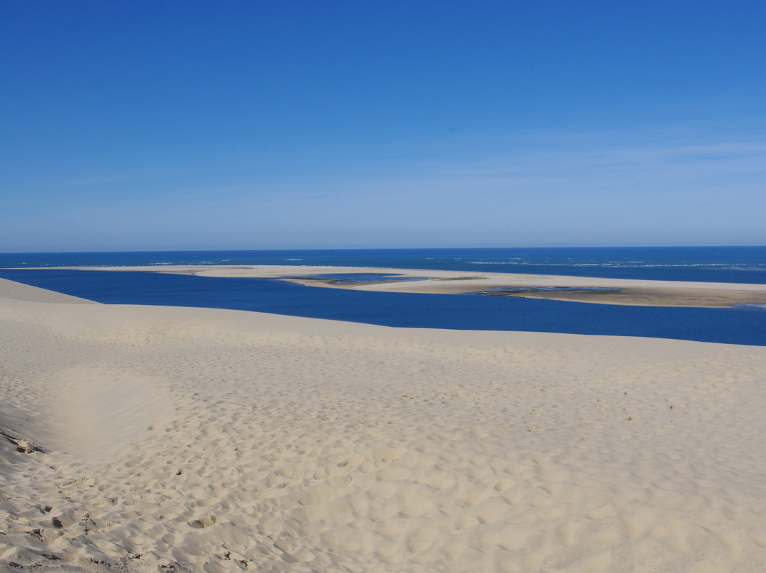 Banc D'arguin-Pyla-sur-Mer必去景点