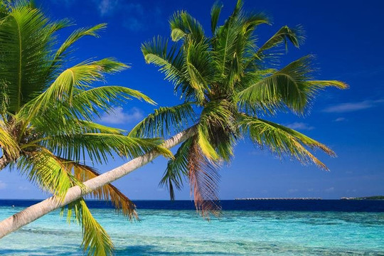 Madabrousse-安塔那那利佛必去景点