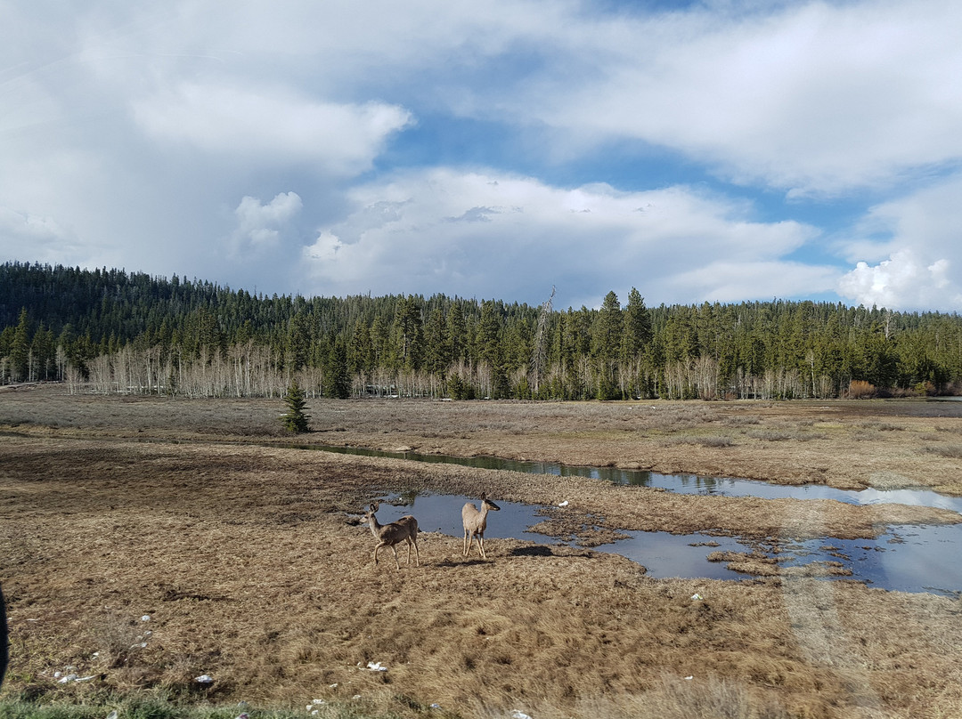 Duck Creek Pond-Duck Creek Village必去景点