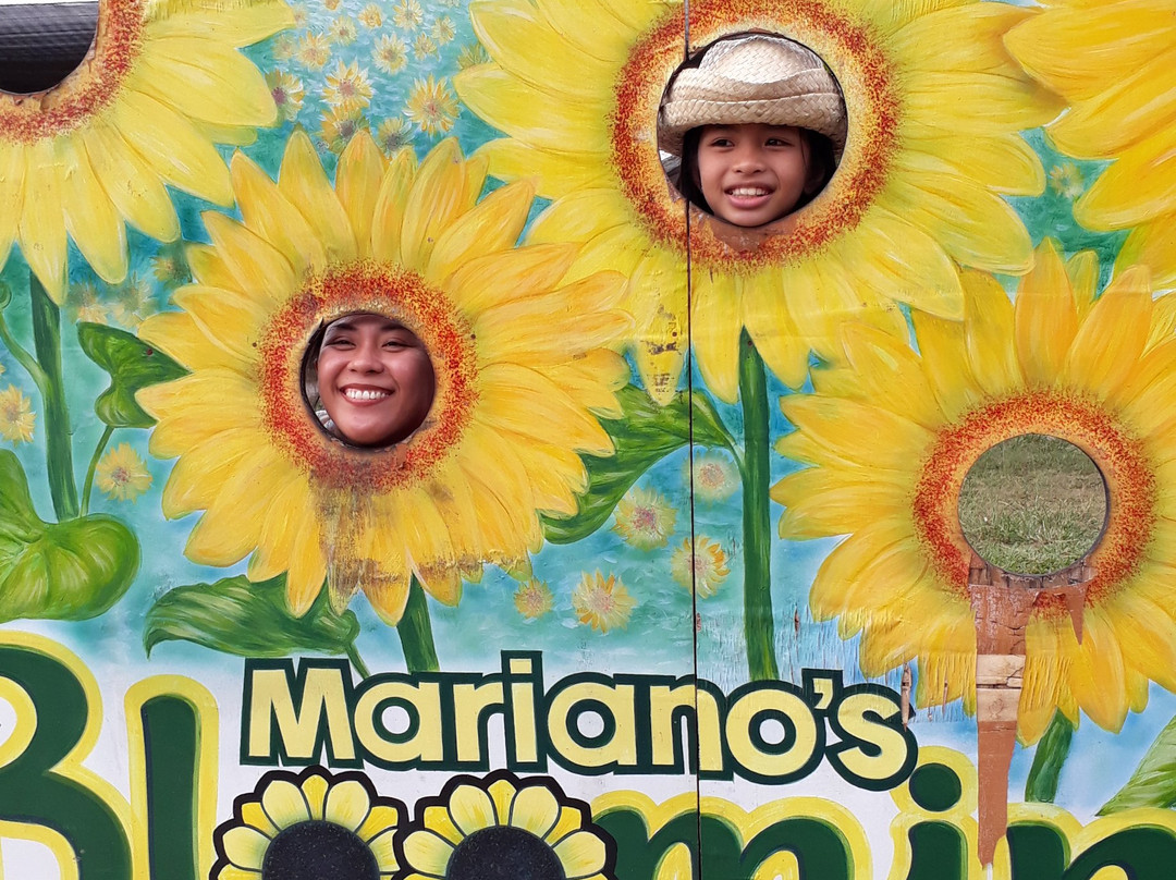 Mariano's Blooming Agri-Tourism Park景点图片