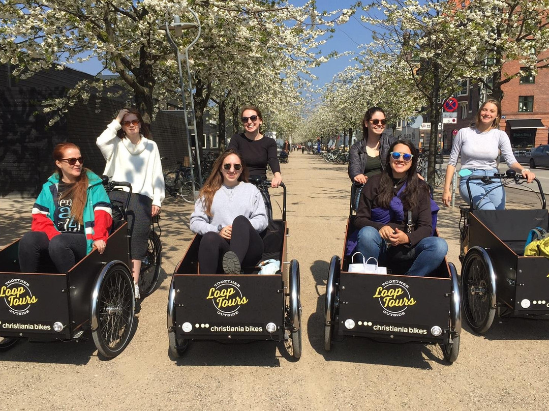 Loop Tours Copenhagen