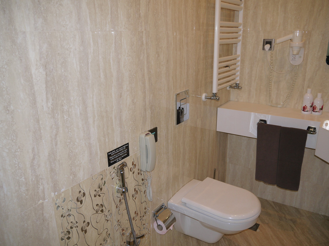 Gashalti Health Hotel主图