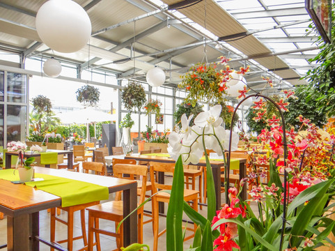 Restaurant Orchidea der Raffeiner Orchideenwelt