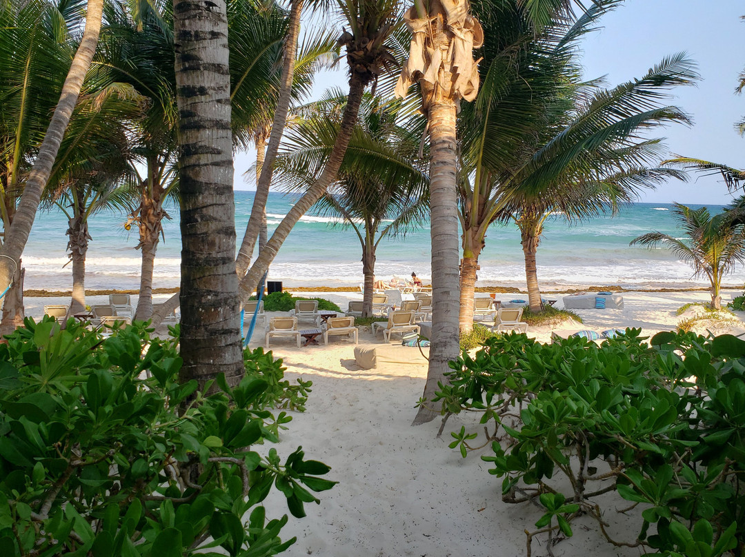 图卢姆小屋主图