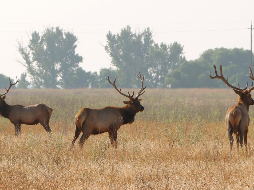 圣路易斯国家野生动物保护区-洛斯巴诺斯必去景点
