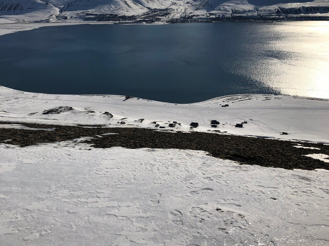 Hurtigruten Svalbard景点图片