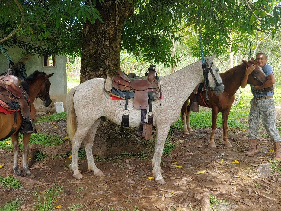 Franklin's Horseback Riding景点图片